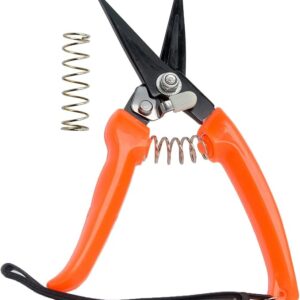 Hoof Trimmers Goat Hoof Trimming Shears Nail Clippers for Sheep